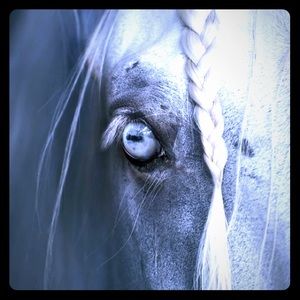 Meet your Posher, Leigh